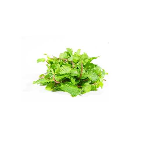 Vnese Spearmint(G) 100G