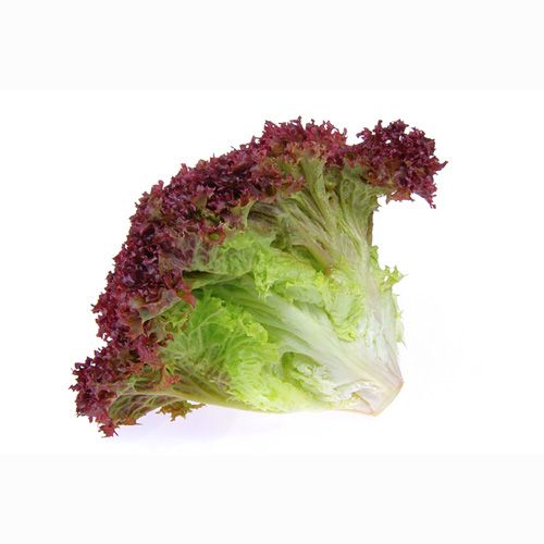 Rau Xà Lách Lollo Đỏ Hữu Cơ Việt An 125G