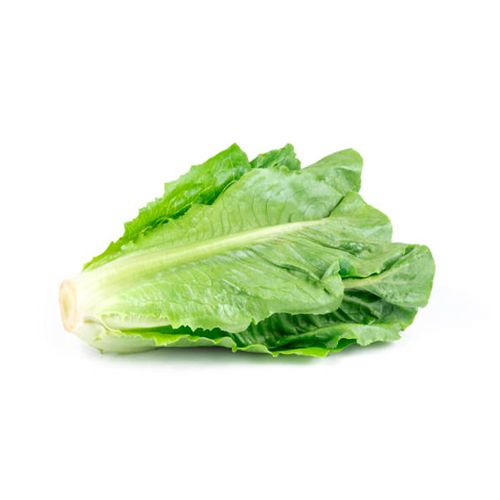 Xà Lách Romaine Melly Farm 200G- Xà Lách Romaine Melly Farm 200G