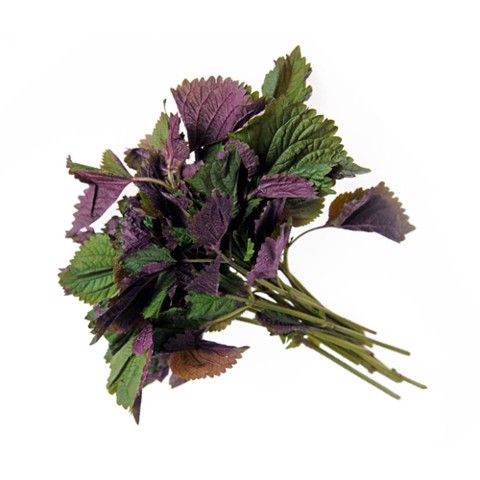 Shiso 100G