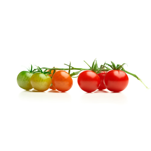 On Vine Tomato Only Natural350G- On Vine Tomato Only Natural350G