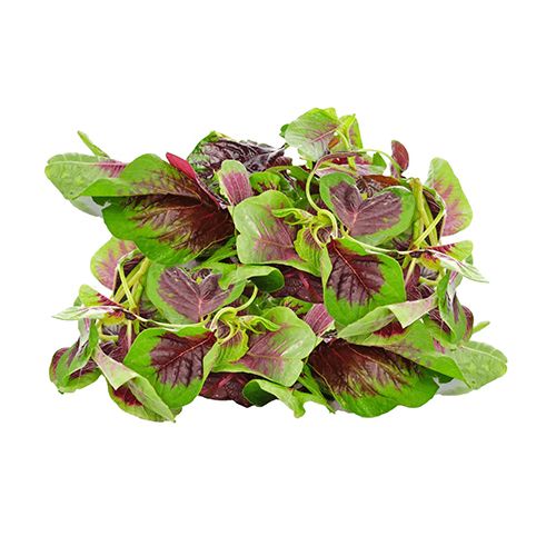 Japanese Purple Amaranth Hopeland 250G- 