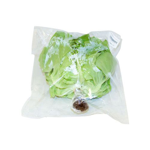 Lettuce Butter Head 250G- butterhead lettuce c d