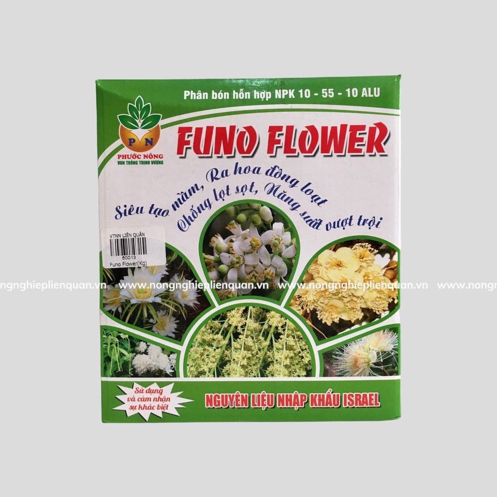 FUNO FLOWER (Kg)