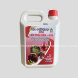 CAN SIÊU LỚN TRÁI MẬN USA (5L) PN