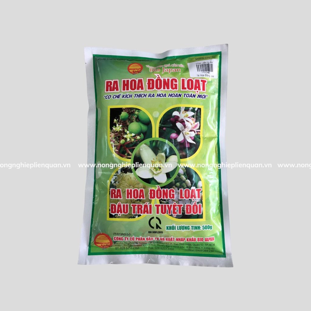 Ra Hoa Đồng Loạt (500g)