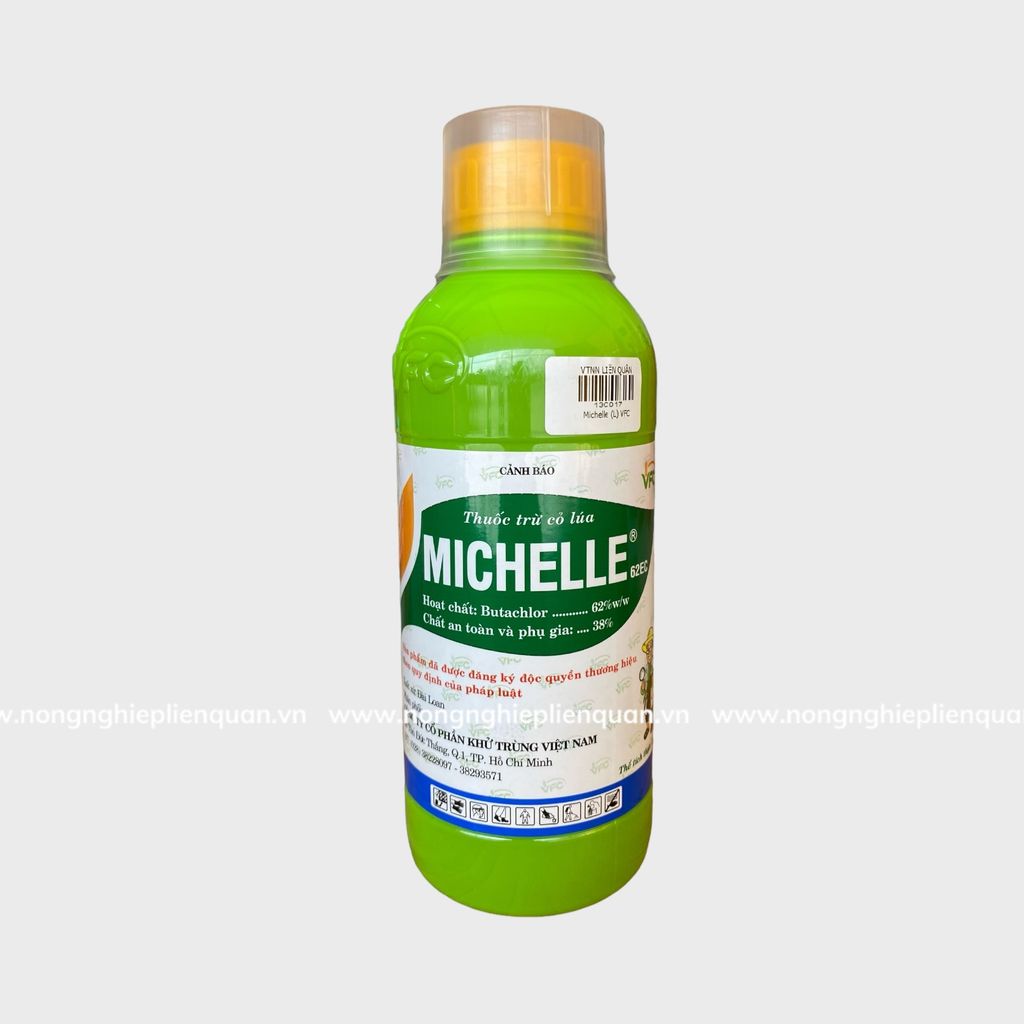 MICHELLE 62EC (L)