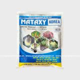 MATAXY KOREA