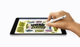 iPad 10.2-inch 256GB (Wifi + Cellular)