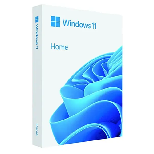 Windows 11 Home 64bit ESD