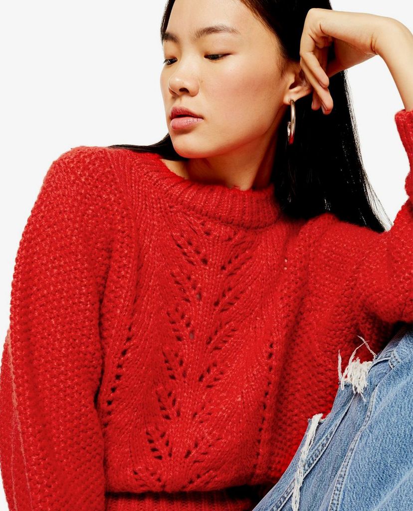 TOPSHOP - Áo len nữ cổ tròn tay dài Red Knitted Pointelle Crop