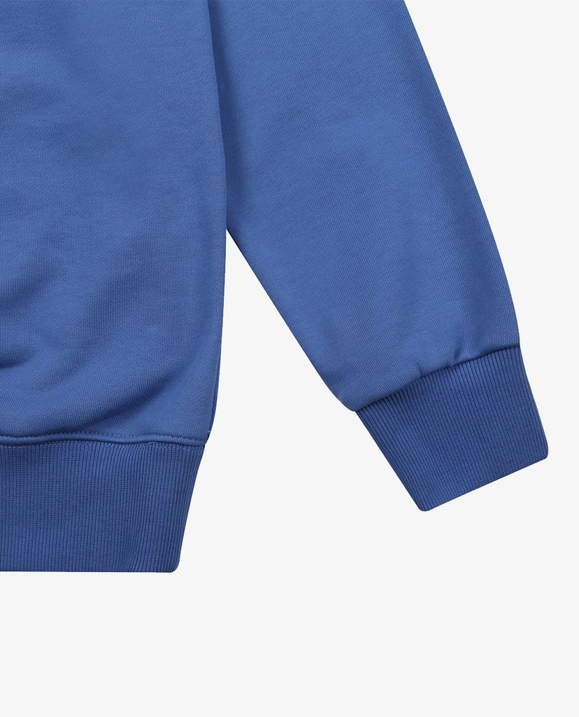 MLB - Áo sweatshirt tay dài cổ tròn Monogram Bag Big Logo Overfit