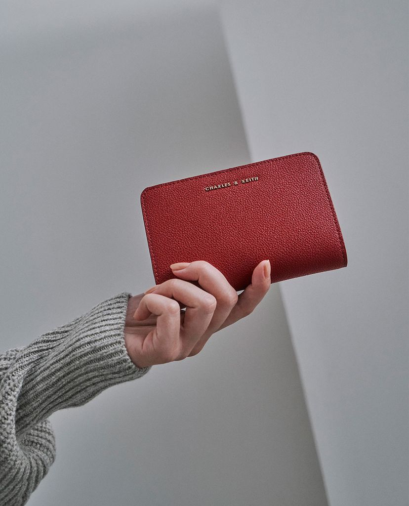 CHARLES & KEITH - Ví cầm tay dáng dài phối khóa kéo zip