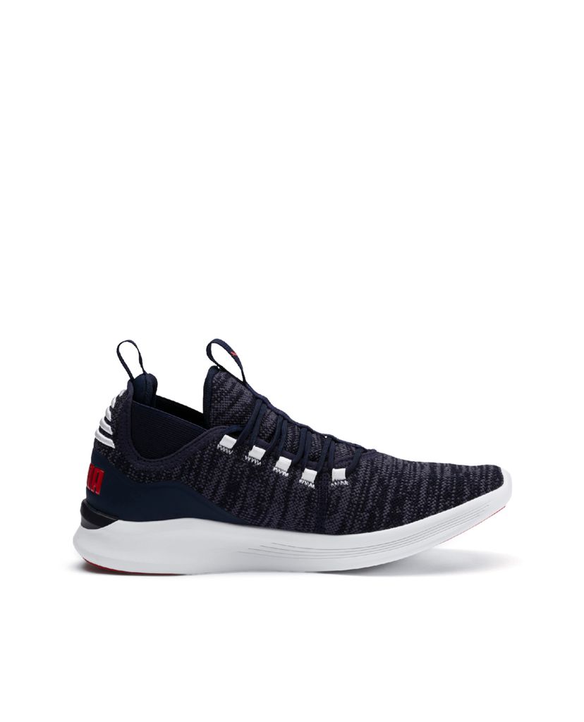 PUMA - Giày sneaker nam IGNITE Flash Daunt