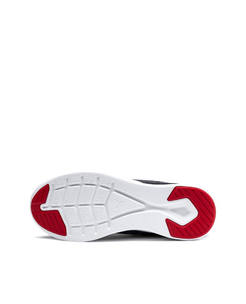 PUMA - Giày sneaker nam IGNITE Flash Daunt