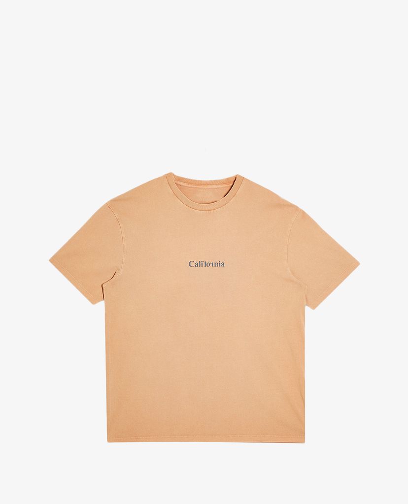 TOPMAN - Áo thun nam cổ tròn ngắn tay Camel California