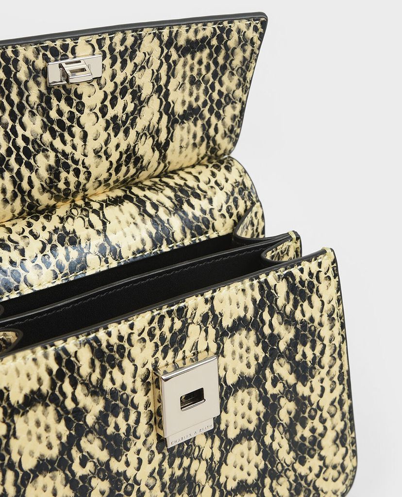 CHARLES & KEITH - Túi xách tay Small Acrylic Tortoiseshell Top Handle