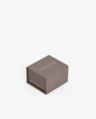 CHARLES & KEITH - Khuyên tai nữ Semi-Circle Floating Locket Drop