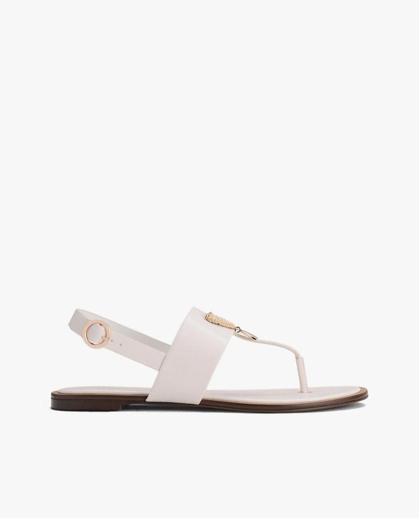 PEDRO - Giày sandal nữ quai kẹp Fan Embellished Thong