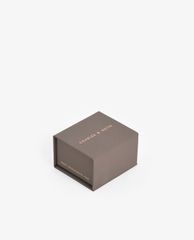 CHARLES & KEITH - Khuyên tai nữ Semi-Circle Floating Locket Drop