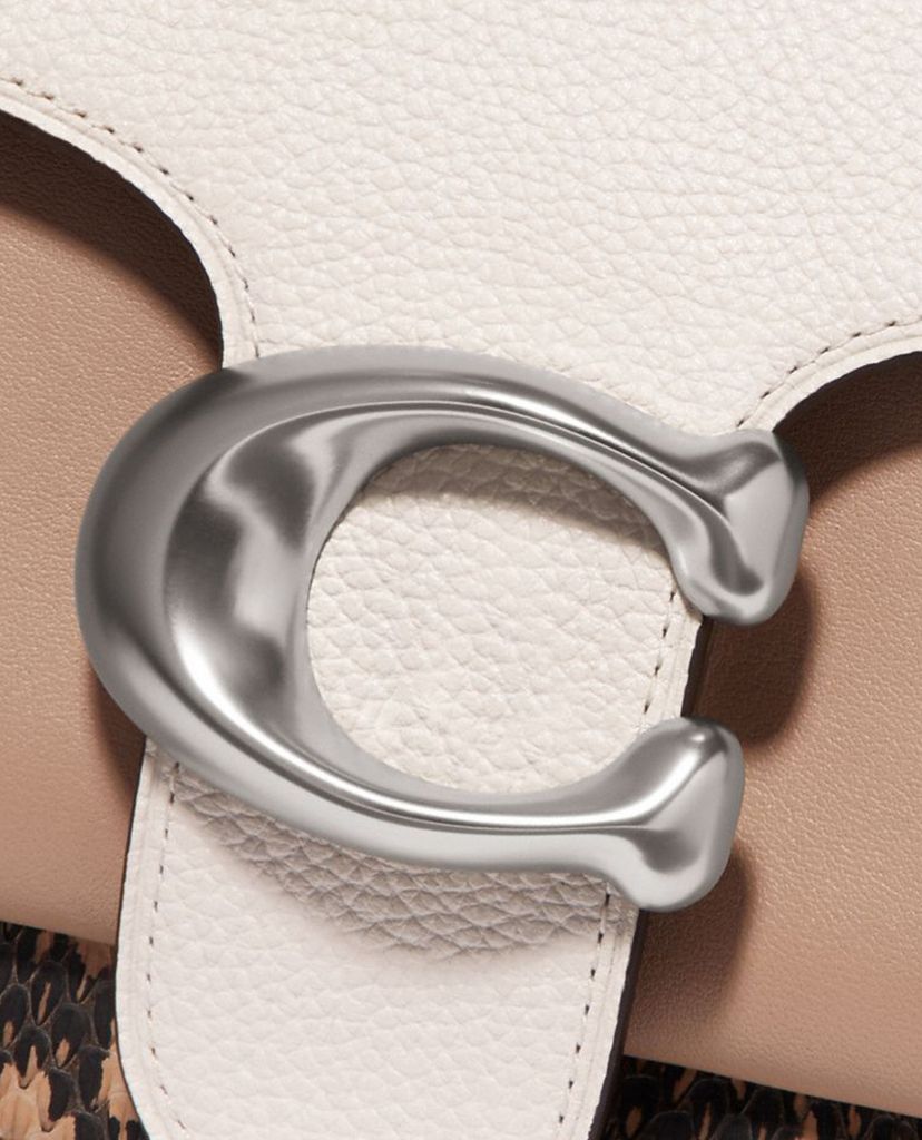 COACH - Túi đeo vai chữ nhật viền da rắn Tabby 26