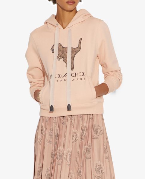 Áo Hoodie nữ COACH