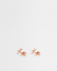 TED BAKER - Khuyên tai nữ hình sao biển Starkey
