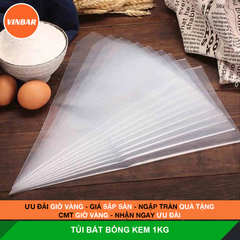 TÚI BẮT BÔNG KEM 1KG (286 TÚI BẮT BÔNG KEM)