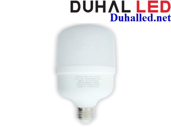 BÓNG LED XÔNG THANH LONG 12W DUHAL BXTL0121