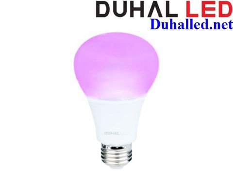  BÓNG LED XÔNG THANH LONG 6W DUHAL BXTL0061 