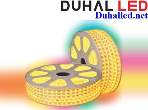  LED DÂY ÁNH SÁNG ĐỔI MÀU DUHAL LDM01 