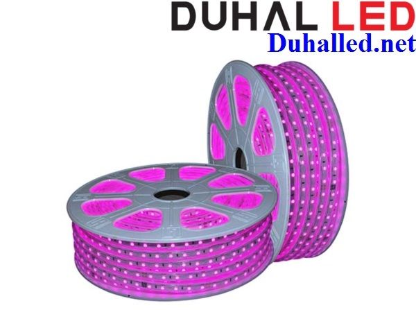 LED DÂY ÁNH SÁNG MÀU HỒNG DUHAL LDH01