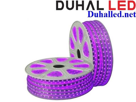  LED DÂY ÁNH SÁNG MÀU TÍM DUHAL LDT02 