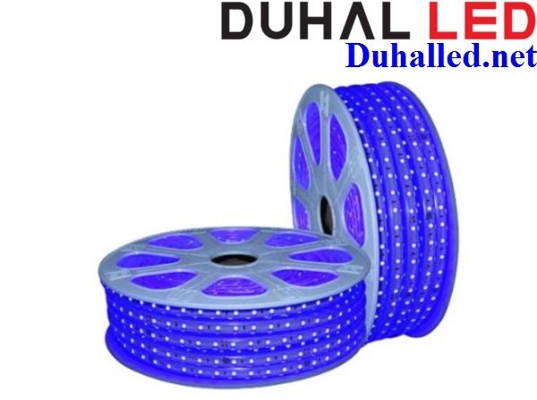 LED DÂY ÁNH SÁNG MÀU XANH LAM DUHAL LDL02