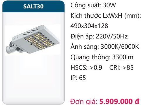  ĐÈN ĐƯỜNG LED 30W DUHAL SALT30 