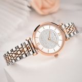CARNIVAL 8803L