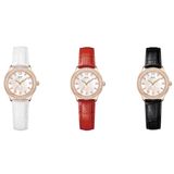 ĐỒNG HỒ PIN IW599