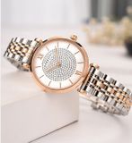 CARNIVAL 8803L