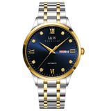 CARNIVAL IW555