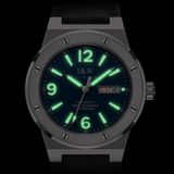 CARNIVAL IW589