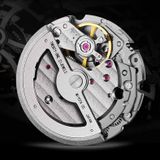 CARNIVAL IW666G