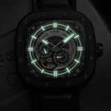 CARNIVAL IW666G