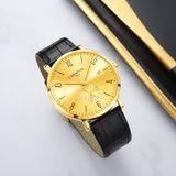 CARNIVAL G05001