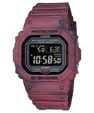  CASIO G-SHOCK DW-5600BWP-2 