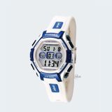 PASNEW PSE-251B