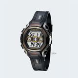PASNEW PSE-251B