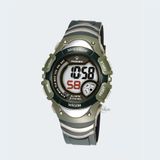 PASNEW PSE-308B