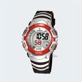 PASNEW PSE-308B