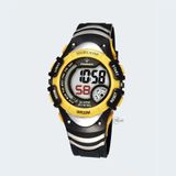 PASNEW PSE-308B