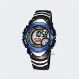 PASNEW PSE-308B